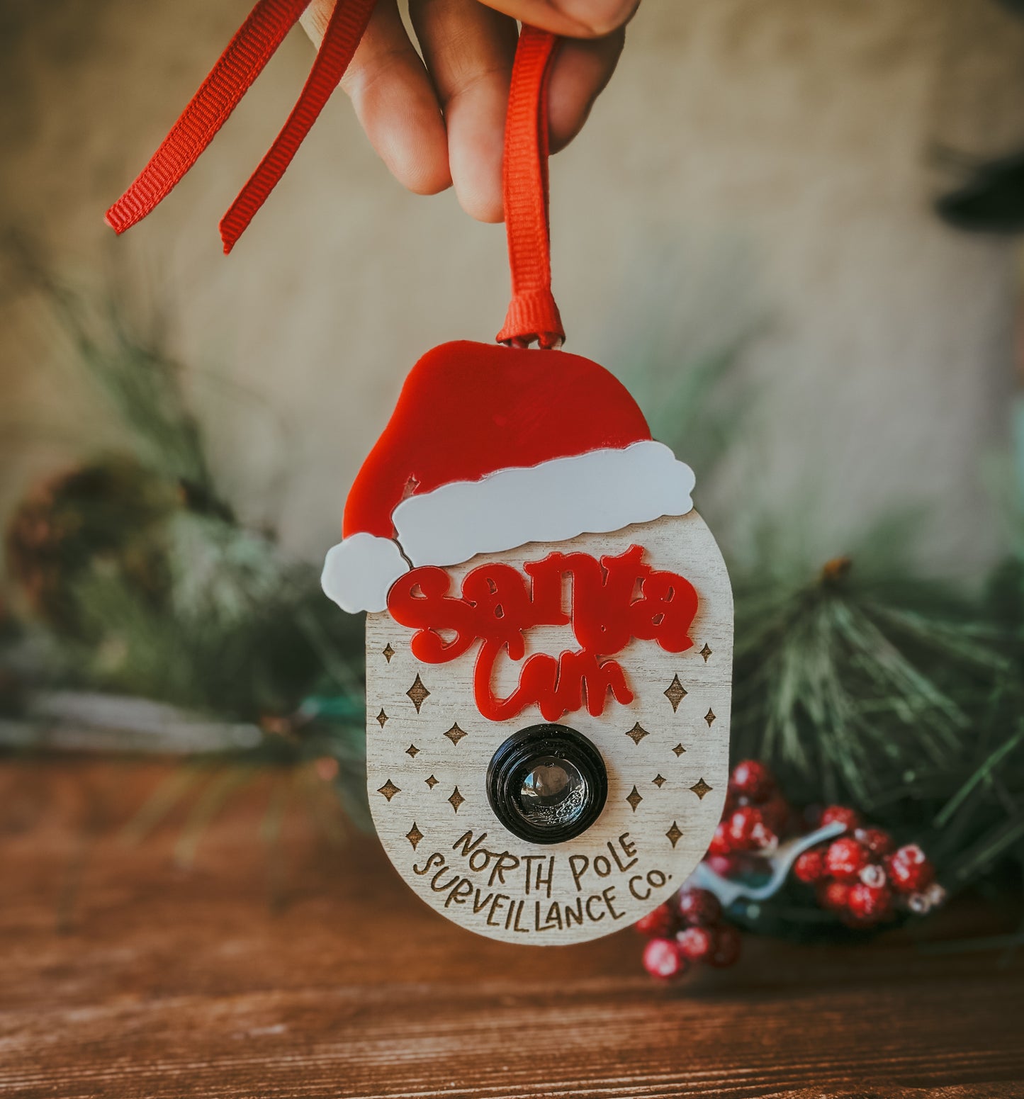 Santa Cam